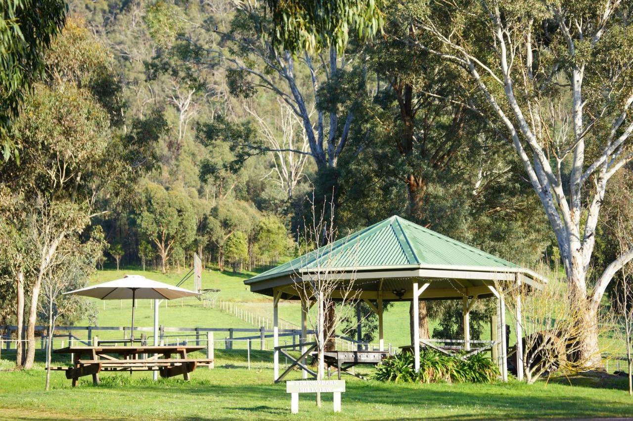 Halls On Falls Homestead Strath Creek Kültér fotó